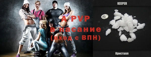 индика Михайлов